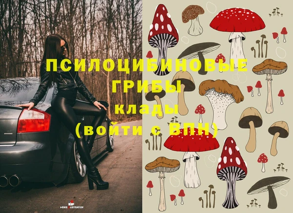 прущие грибы Абдулино