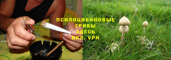 прущие грибы Абдулино