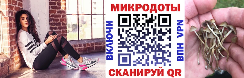 маркетплейс клад  Судогда  Галлюциногенные грибы Cubensis  даркнет сайт 